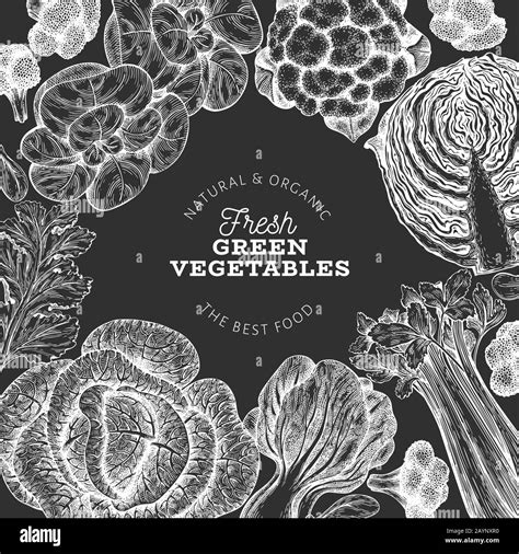 Hand drawn sketch vegetables design. Organic fresh food vector banner template. Vintage ...