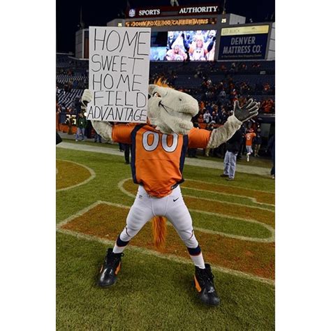 Mustang Horse Broncos Mascot Costume