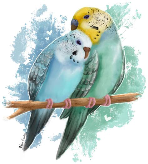 Budgie Cuddles! by VimeraCreations on DeviantArt