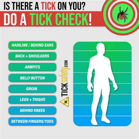 How to do a Tick Check • Tick Prevention | TickSafety.com