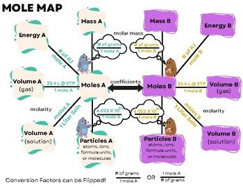 Mole Map by Kristy Holben | TPT