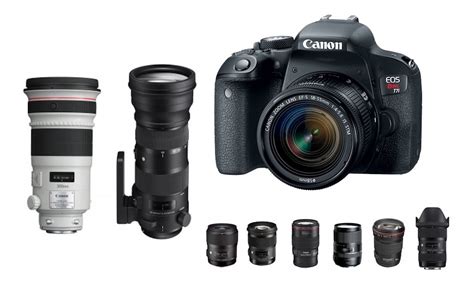 Best Lenses for Canon EOS Rebel T7i - Canon Camera News