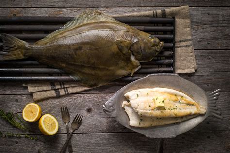 Discover Halibut: Nutritious & Delicious Flatfish | Halibut Facts & Benefits - FishOnTips