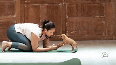 Paws & Poses: Unleashing Joy with Puppy Yoga - DelhiSnap