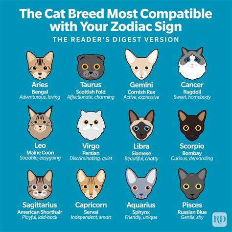 Zodiac Signs as Cat Breeds: Which Cat Is Best for You?