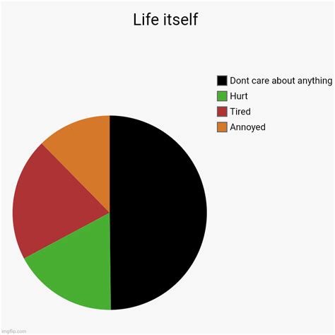 Pie Chart Meme Template