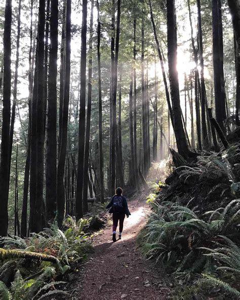 Oregon Coast Trail Thru-Hiking Guide - Territory Supply