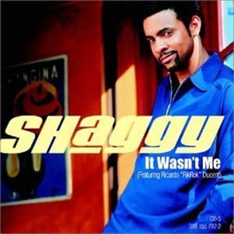 You Can't Deny It: How Shaggy Pioneered Reggae's Pop Crossover With "It Wasn't Me" | Complex