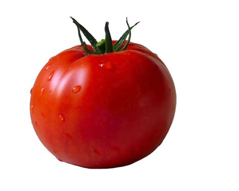 Tomato PNG