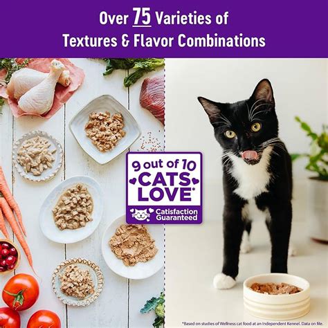 Cat Food for Urinary Health: Top Picks for Optimal Feline Wellness