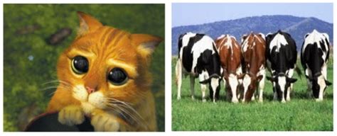 terminology - What is the definition of "cattle not pets"? - DevOps ...