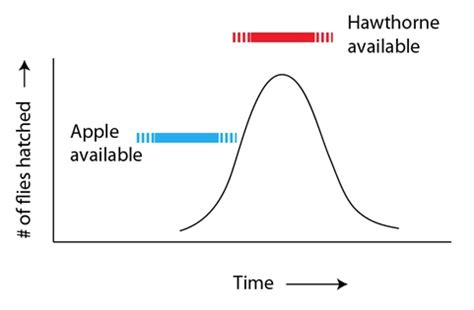 From Variation to Speciation - Article - BioLogos