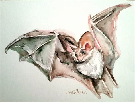 Vampire Bat Painting at PaintingValley.com | Explore collection of ...