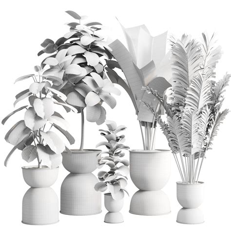 Indoor Plants Set-011 - 3D Model for VRay, Corona