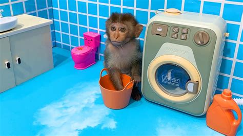 Baby monkey bobo goes to do the laundry and harvest fruit in the farm ...