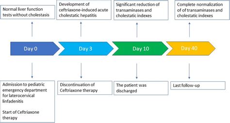 Frontiers | Ceftriaxone-induced cholestatic hepatitis in a child: A ...