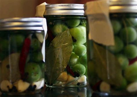 Green Cherry Tomato Refrigerator Pickles - Recipe Fiction