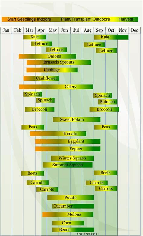 Zone 7A Planting Guide - Plant Ideas