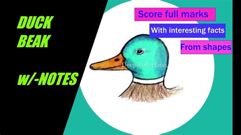 How to draw a DUCK BEAK / w/-NOTES / DUCK / SHAPES /INTERESTING FACTS / BIOLOGY / EVS / STEP BY ...