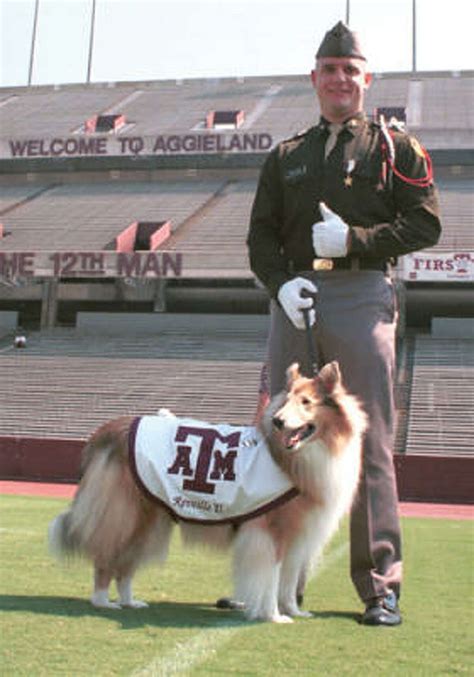 Aggie mascot Reveille VIII to retire at school year's end