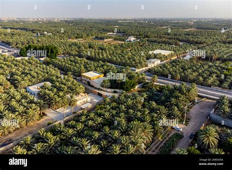 Aerial view al ahsa oasis hi-res stock photography and images - Alamy