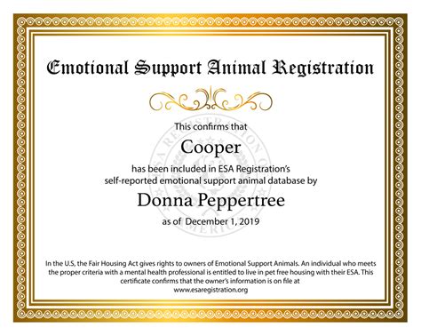 How Do I Get My Dog Certified As An Emotional Support Dog