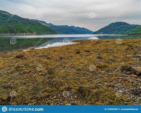 Loch Long. Landscape, Scotland Stock Image - Image of highlands, cold ...