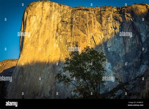 The Dawn Wall of El Capitan in Yosemite Stock Photo - Alamy