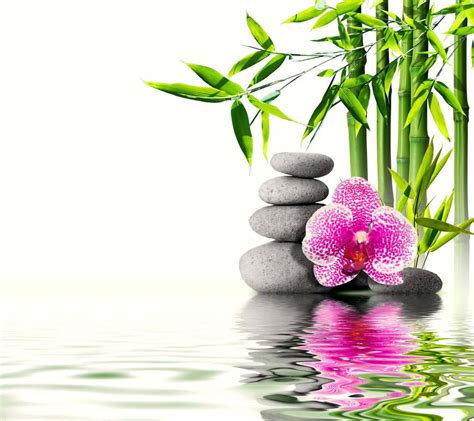 Download Spa Background Orchid Flower And A Grey Stone Stack | Wallpapers.com