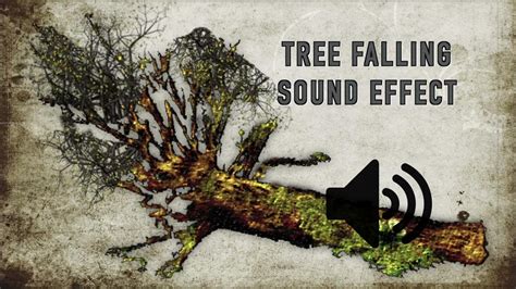 Tree Falling Sound Effect - High Quality - YouTube