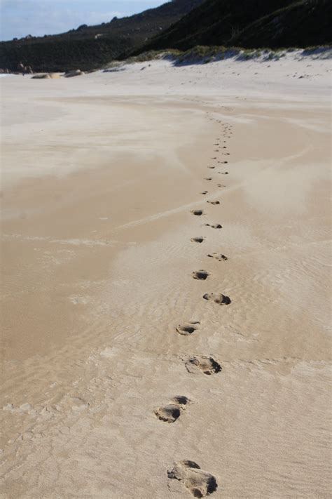 Free Images : beach, sea, coast, sand, walking, trail, dune, shore ...