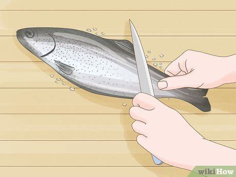 5 Ways to Clean a Fish - wikiHow