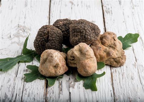 The Difference Between White and Black Truffles