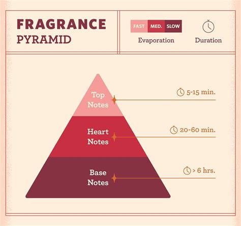 What Are Perfume Notes?