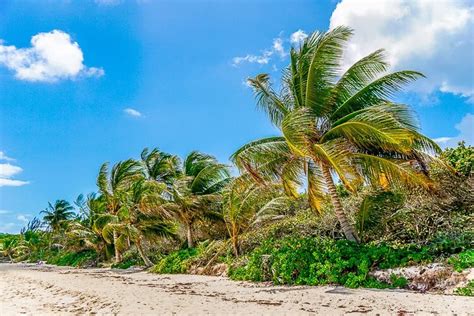 Tips for Visiting Culebra Island Puerto Rico | Sugar & Soul