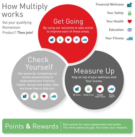 Momentum Multiply | Naas Delport Brokers | Holistic Insurance | Short ...