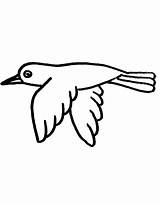 Crow Coloring Pages Free Printable PDF sketch template