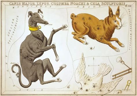 Lepus Constellation Stars – Astrology King