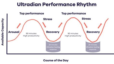 The Ultradian Rhythm: Boosting Productivity, Energy, and Willpower