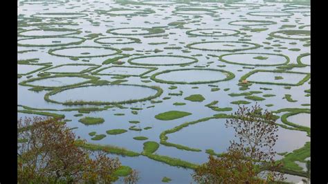 Loktak Lake Manipur India - YouTube