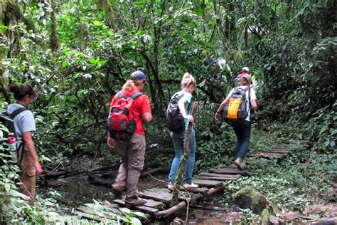 Kakamega forest national reserve - Kenya national reserve