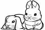 Cute bunny coloring pages To Download And Print For Free sketch template