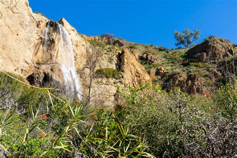 The 8 best hikes in Los Angeles - Lonely Planet