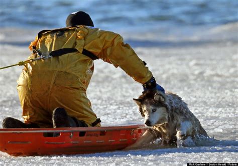 What Do You Think This Guy Is Doing? You Will Never Guess…. And It’s Going To Break Your Heart ...