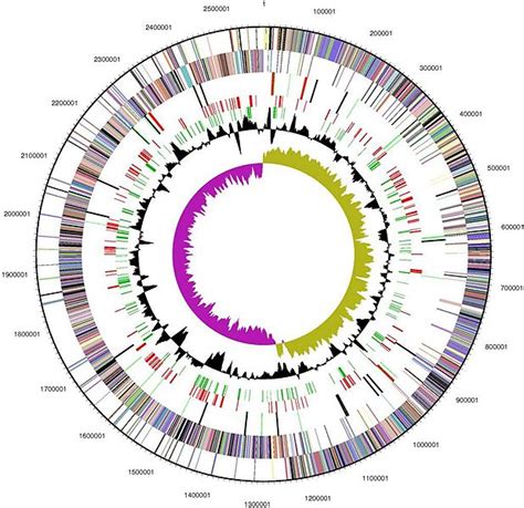 Difference Between Genome and Gene Pool | Compare the Difference Between Similar Terms