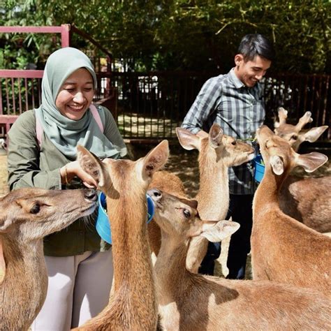 Langkawi Wildlife Park tickets | Langkawi