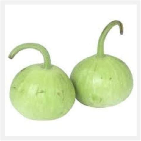 Bottle Gourd Round (Ghia Kaddu) Seeds