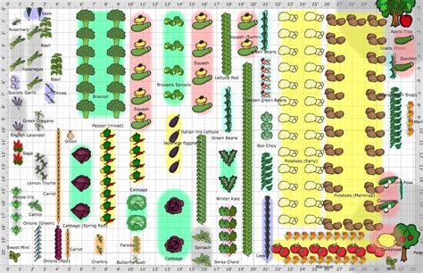 Best Vegetable Garden Layout Planner