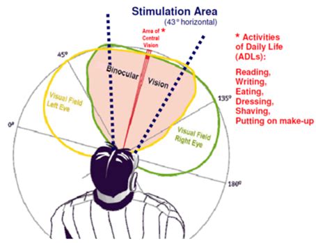 Stereoscopic Vision – How Does It Work? – NovaVision