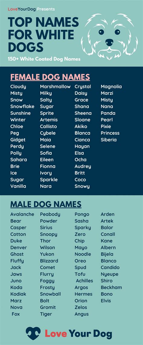 Rare dog names – Artofit